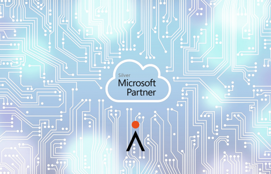 We are Microsoft Silver Partner: Cloud Solutions